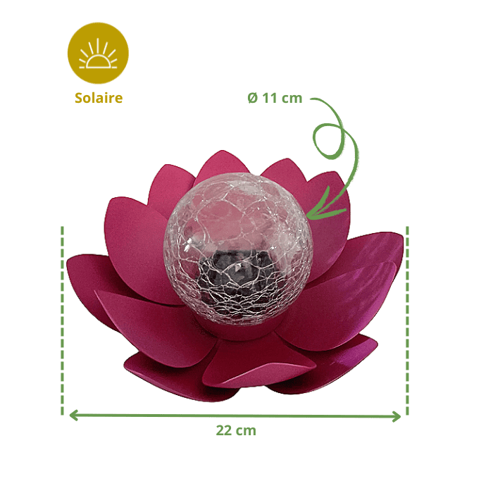 Lampe solaire lotus rose avec boule LED en verre, dimensions 22 cm de large et 11 cm de diamètre.