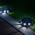 Balises solaires LED blanches installées au bord d'une allée de jardin, éclairage extérieur nocturne éco-énergétique