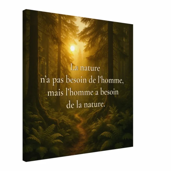 "Toile murale La nature n’a pas besoin de l’homme, mais l’homme a besoin de la nature vue en angle avec forêt baignée de lumière et chemin forestier"