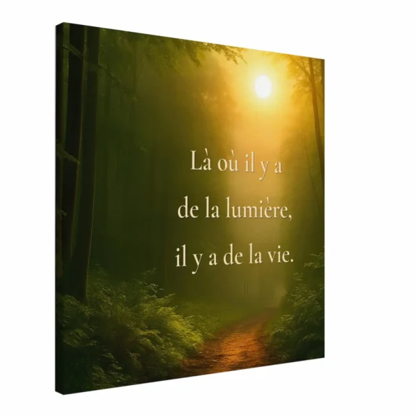 Toile murale Là où il y a de la lumière, il y a de la vie vue en angle avec forêt baignée de lumière dorée