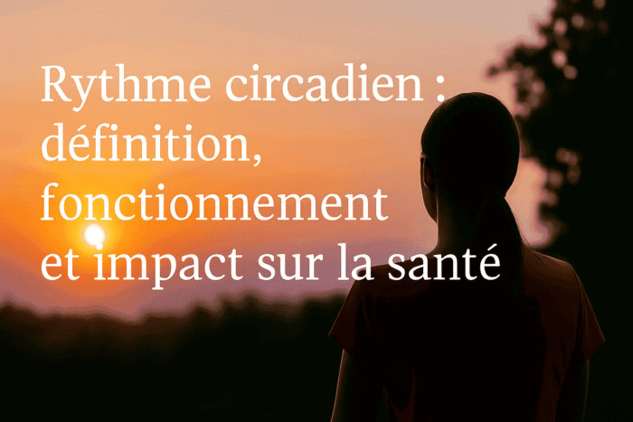 Personne observant le coucher de soleil illustrant le rythme circadien, l’alternance jour-nuit et l’influence de la lumière naturelle sur la santé et le sommeil