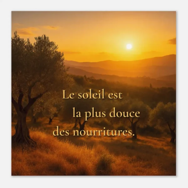 Affiche Le soleil est la plus douce des nourritures avec paysage provençal, oliviers et lumière dorée