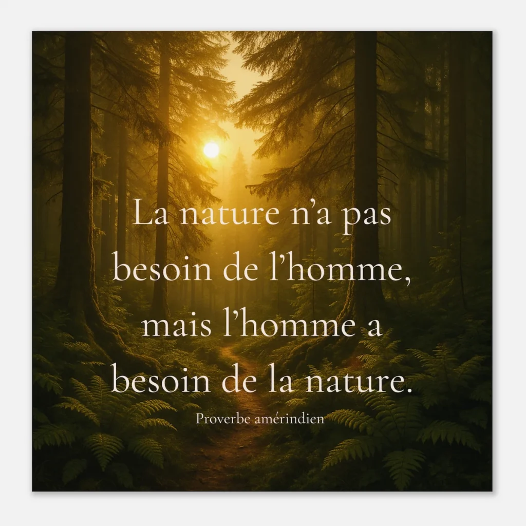 Affiche Solaire Universel – citation “La nature n’a pas besoin de l’homme” sur forêt dorée au soleil