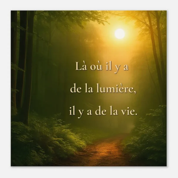 Affiche papier mat qualité muséale Là où il y a de la lumière, il y a de la vie avec forêt baignée de lumière dorée