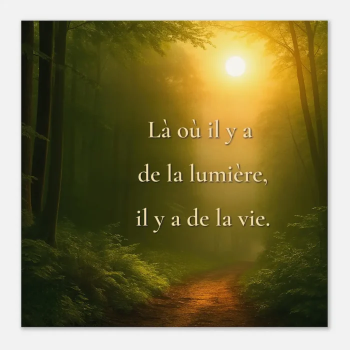 Affiche papier mat qualité muséale Là où il y a de la lumière, il y a de la vie avec forêt baignée de lumière dorée